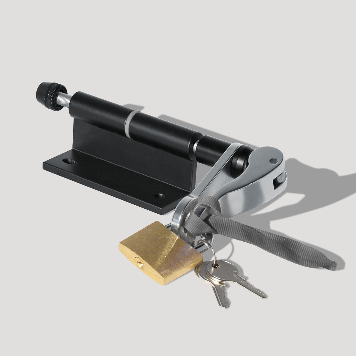 Delta Cycle Bike Hitch Pro With Lock
